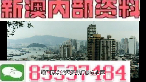 新澳門精準(zhǔn)十二碼,可持續(xù)性發(fā)展目標(biāo)_GPD29.661確認(rèn)版