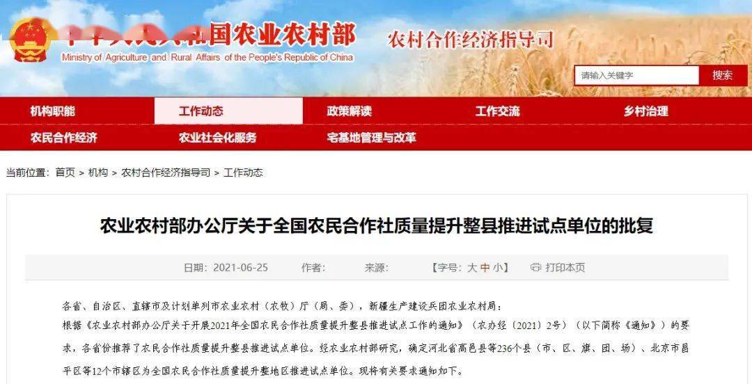 高邑最新動(dòng)態(tài)，城市發(fā)展與變遷的脈搏跟蹤報(bào)道