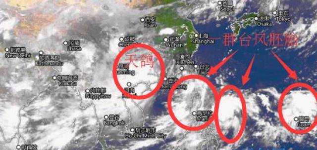 小巷深處的特色小店探秘，臺風最新信息及防范建議