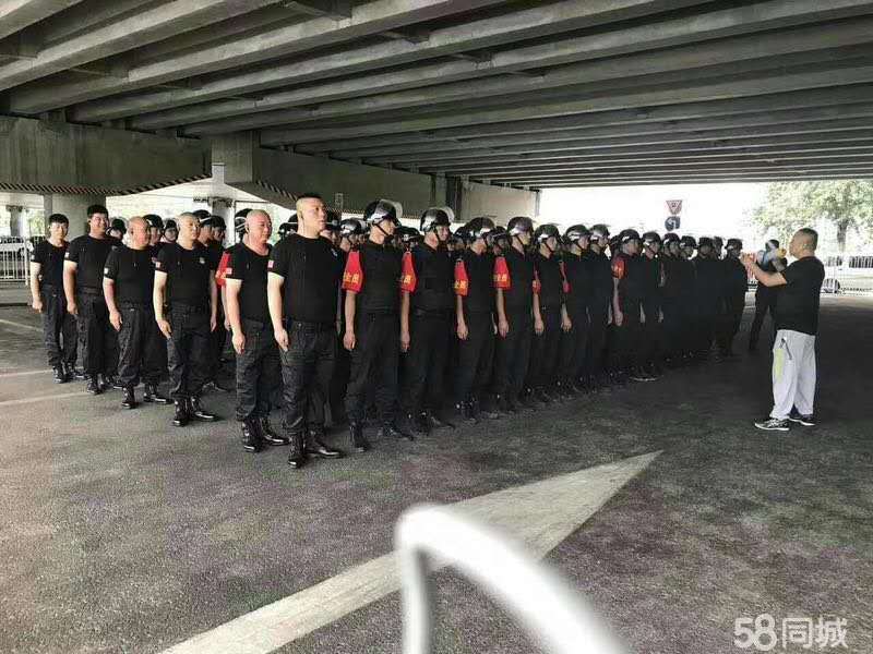 博興押運(yùn)員招聘啟事，加入安全守護(hù)團(tuán)隊(duì)，共筑美好未來(lái)