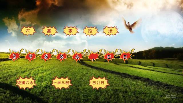 4949澳門今晚開獎(jiǎng),數(shù)據(jù)指導(dǎo)策略規(guī)劃_PLD41.152計(jì)算機(jī)版