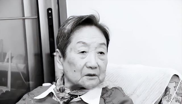 城市里的溫馨趣事，最新搞笑段子大全 2024版