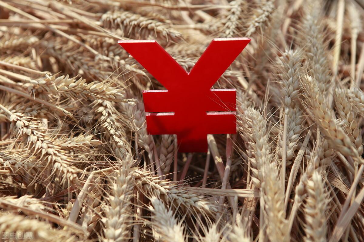 山東尿素價格行情深度解析與多元解讀