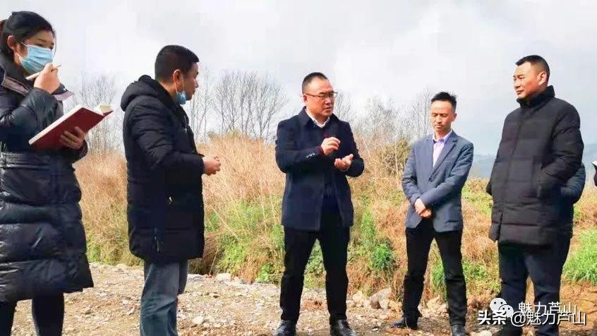 我家農(nóng)場新篇章，開啟農(nóng)場經(jīng)營之旅的全方位指南