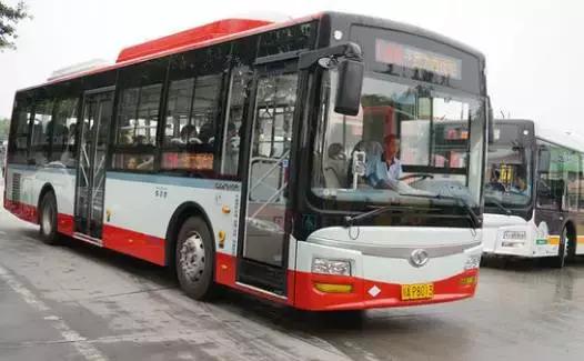 新都650公交路線，自然美景探索之旅啟程