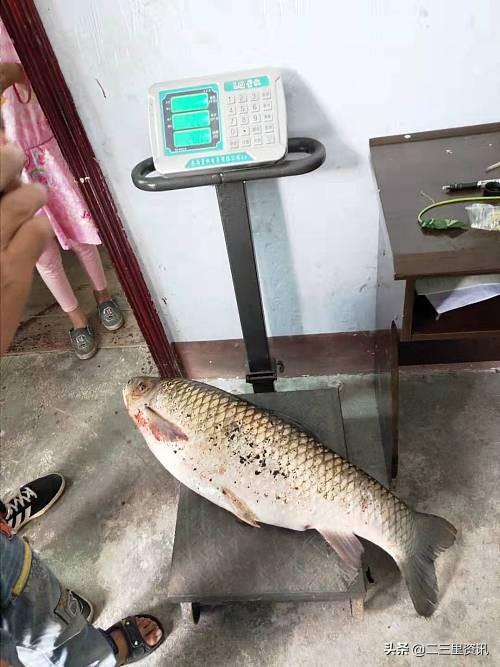 科技賦能垂釣新紀(jì)元，釣草魚比賽開啟垂釣新時(shí)代