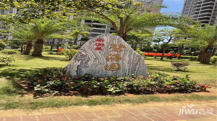 吳川碧海園最新資訊與溫馨日常