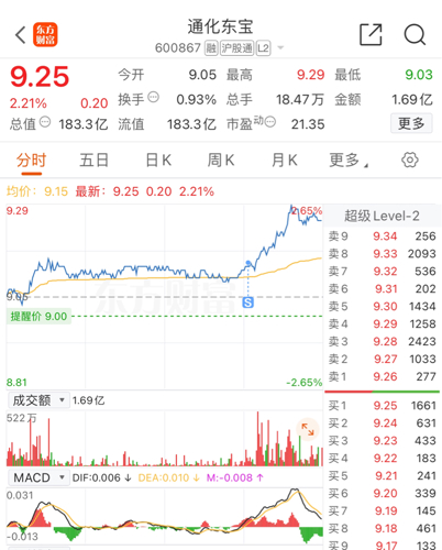 東化通寶股票,東化通寶股票，一場(chǎng)與自然美景的心靈之旅