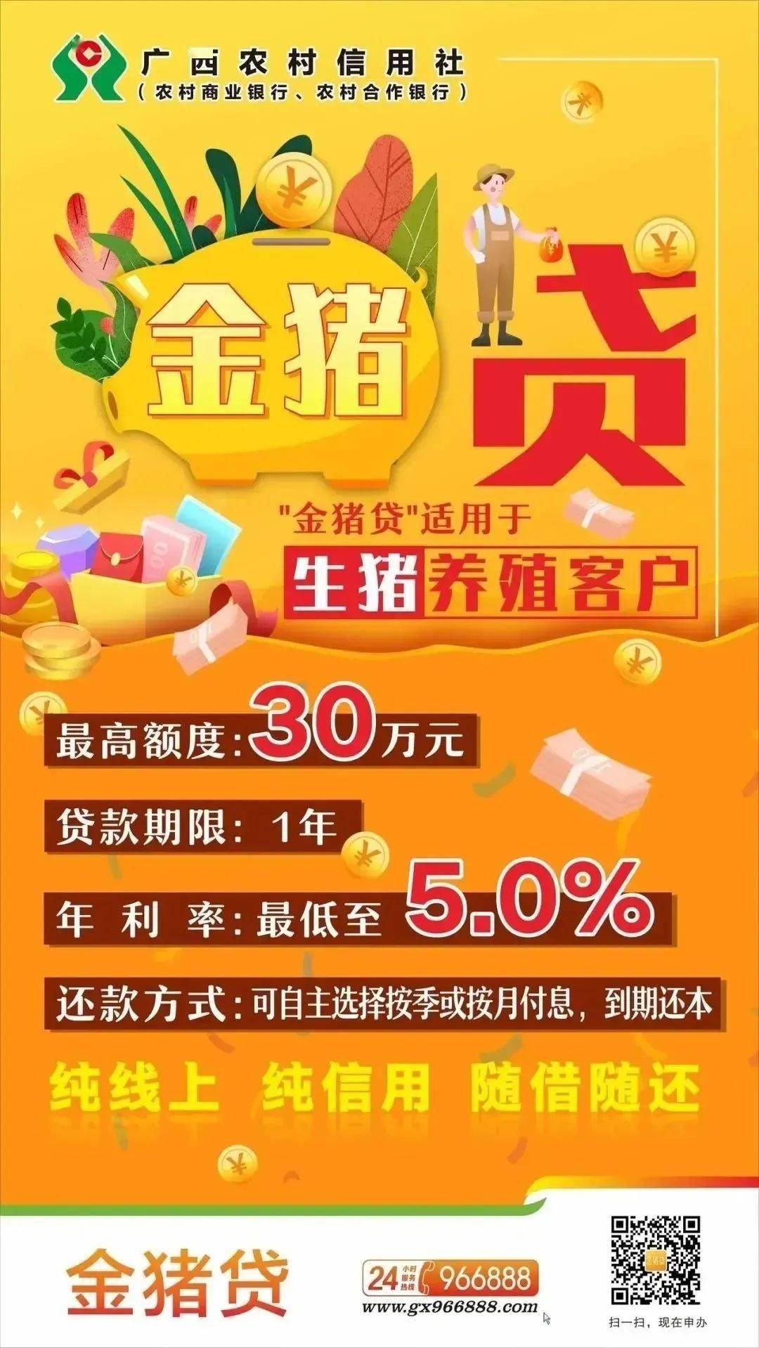 最新貸款產(chǎn)品深度解析，全面探討與某某觀點闡述