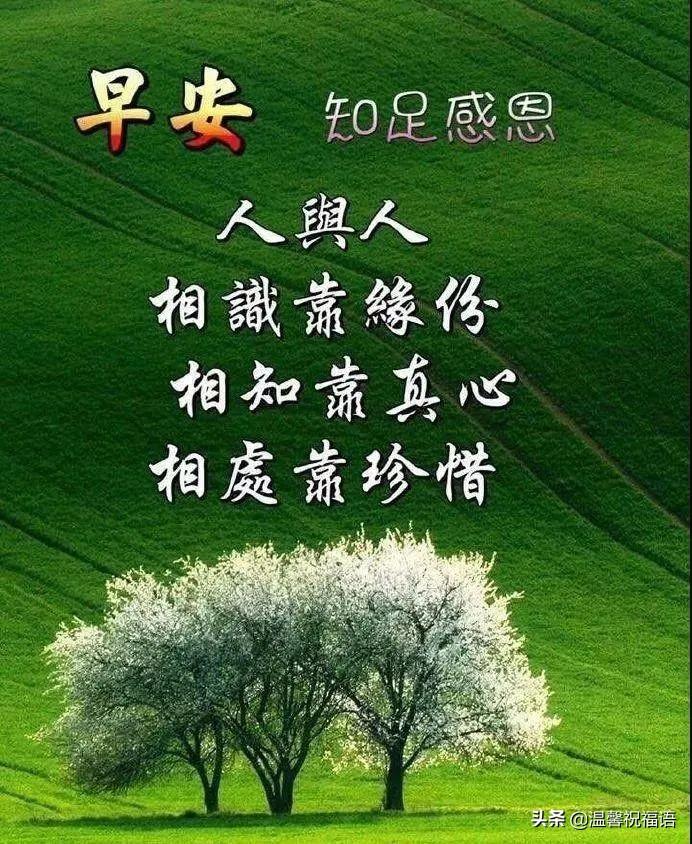 精選新版,精選新版，一場(chǎng)自然美景的輕松之旅，尋找內(nèi)心的平和與喜悅
