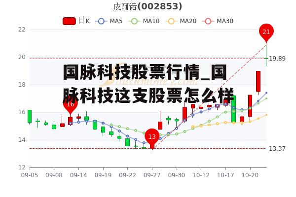 國(guó)脈科技股票行情深度解析與觀點(diǎn)闡述
