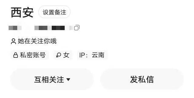 2025年1月 第23頁