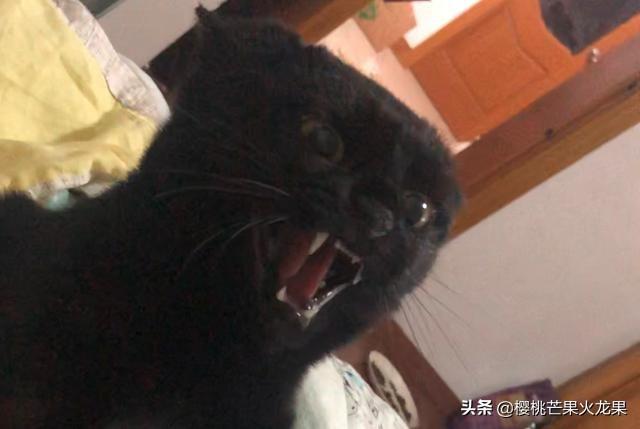 陽光電影迅雷,陽光電影迅雷，在線電影的新時(shí)代選擇