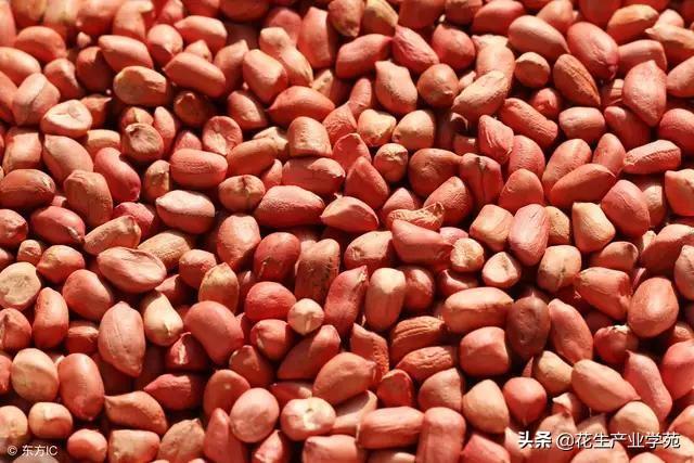 安丘大姜最新行情及觀點(diǎn)論述