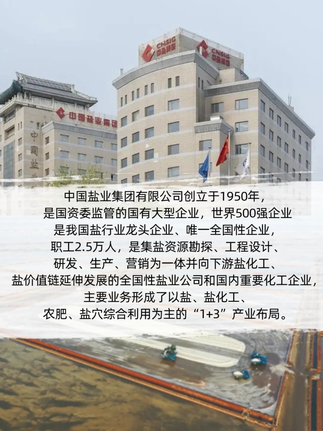 科技重塑鹽業(yè)，體驗(yàn)未來品質(zhì)生活新篇章