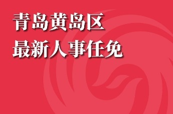 青島市最新人事任免詳解，任免流程與步驟指南