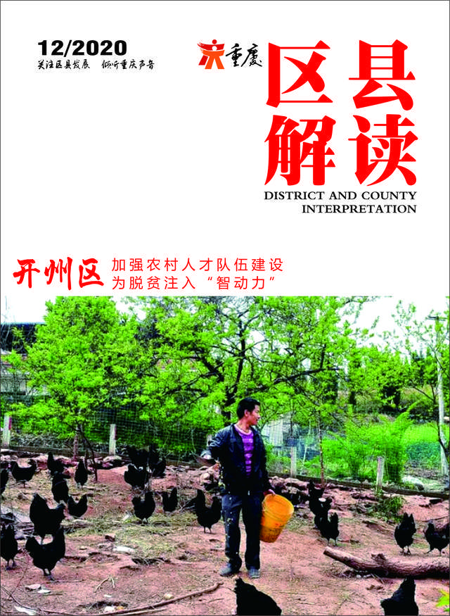 開州長沙鎮(zhèn)巷弄深處的獨特小店探秘，最新消息揭秘！