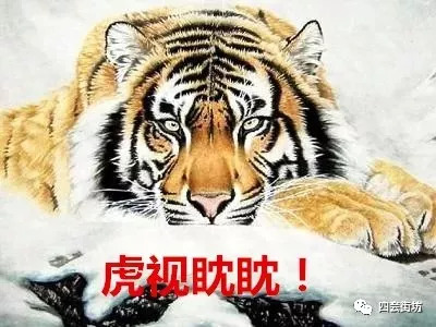 四虎緊急最新地址探索，小巷美食天堂與獨特環(huán)境之旅