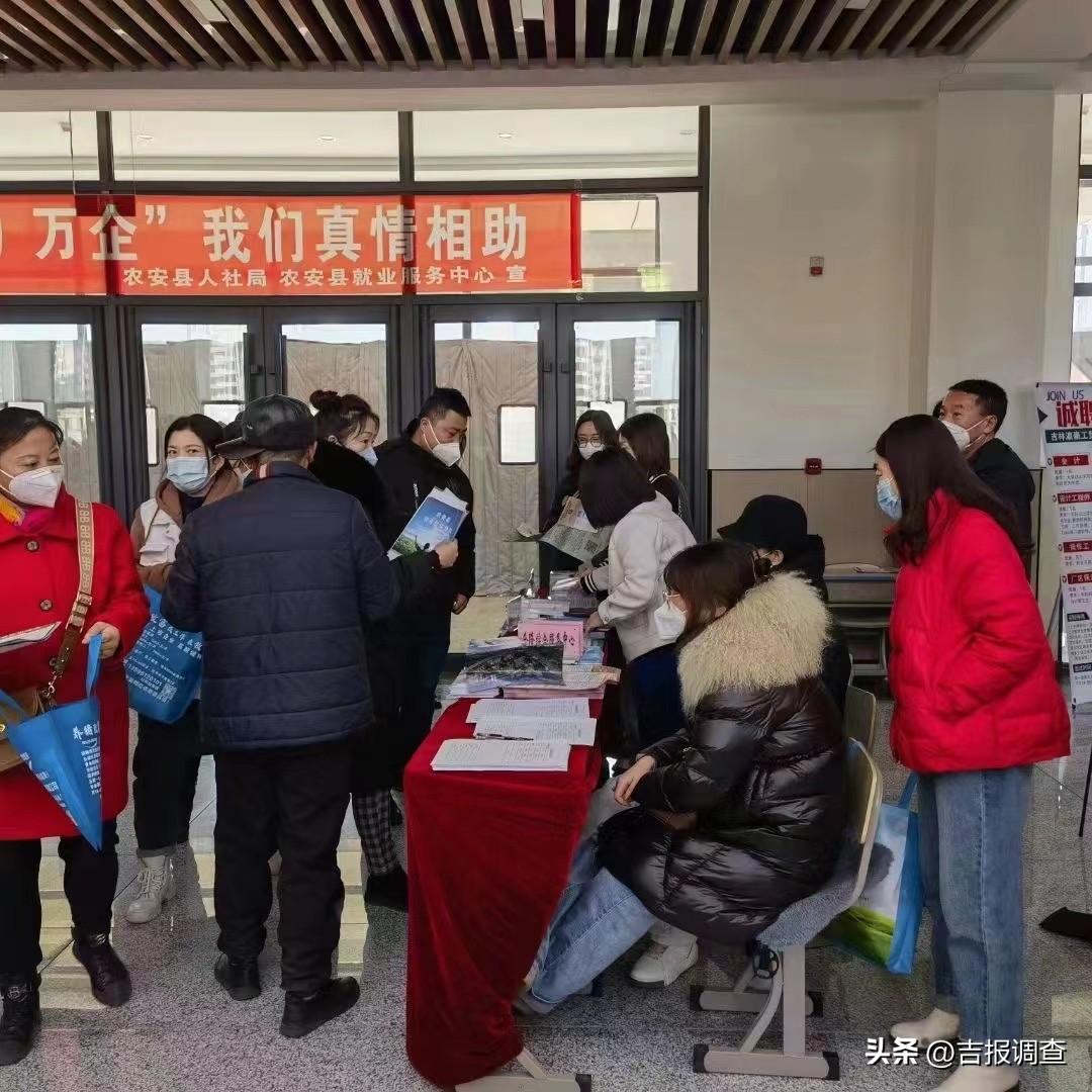 農(nóng)安最新招聘趨勢與觀點論述