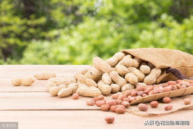 廣西花生米最新價格概覽，走進(jìn)花生之鄉(xiāng)的物價探秘