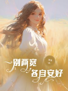 陸白安夏兒最新章節(jié)深度解析，人物關(guān)系與劇情發(fā)展揭秘