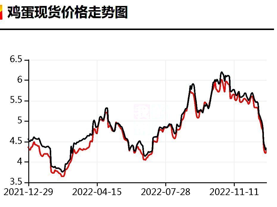 最新雞蛋價格走勢分析與觀點(diǎn)論述